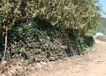 Dùng vỏ chai bia làm bờ rào - 1