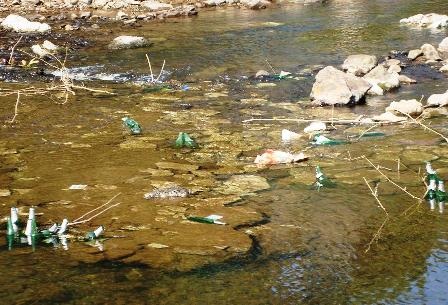 Dùng vỏ chai bia làm bờ rào - 9