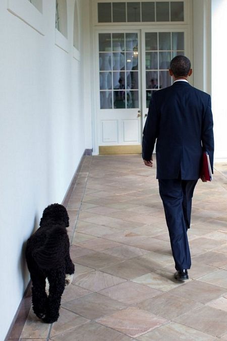 Ảnh vui nhộn nhất nơi hậu trường Nhà Trắng năm 2010 - 11 Ảnh vui nhộn nhất nơi hậu trường Nhà Trắng năm 2010 - 11