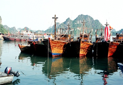 Theo dõi bằng vệ tinh để ứng cứu kịp thời tàu cá gặp nạn - 1