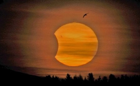 Thế giới thích thú ngắm nhật thực đầu tiên trong năm 2011 - 3