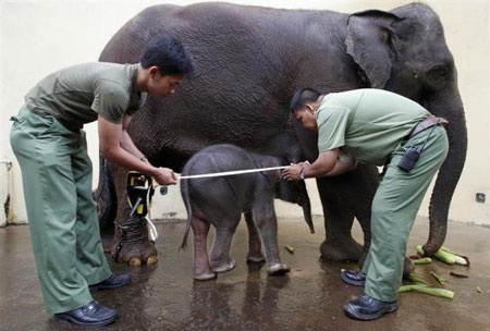 Những hình ảnh ấn tượng tuần qua - 3