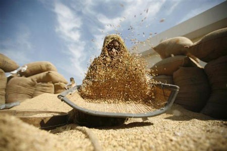 Những hình ảnh ấn tượng tuần qua - 4