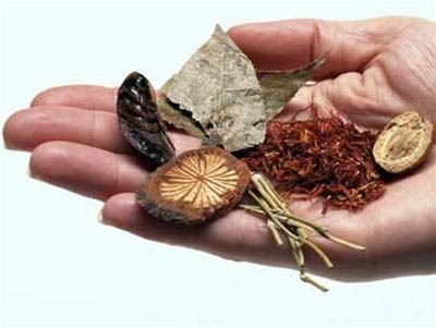 Đông y và các bệnh thường gặp mùa lạnh - 1