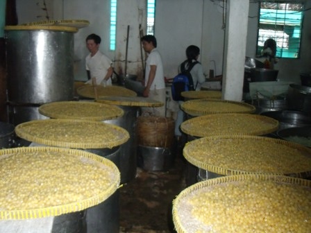 Ngày đầu thanh tra mứt tết, các cơ sở sản xuất đều “sạch” - 5