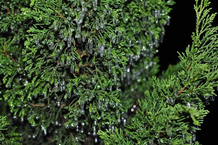 Băng tuyết trên đỉnh Mẫu Sơn - 1