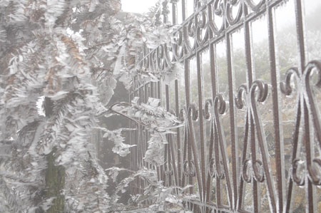 Băng tuyết trên đỉnh Mẫu Sơn - 10