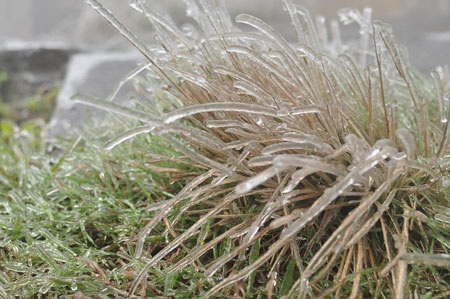 Băng tuyết trên đỉnh Mẫu Sơn - 2