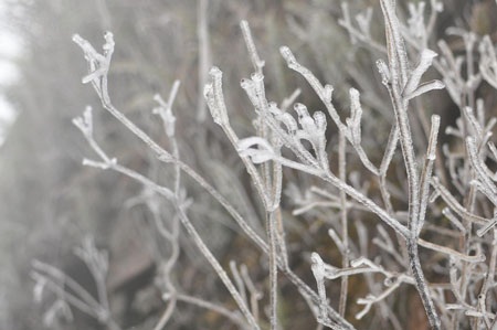 Băng tuyết trên đỉnh Mẫu Sơn - 8