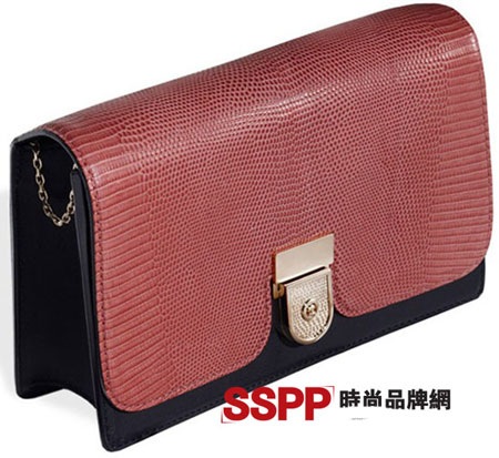 Làm dáng với BST túi của Victoria Beckham và Bottega Veneta - 8