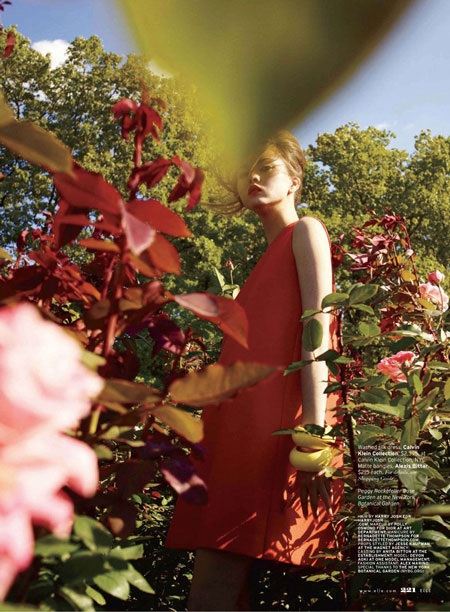 “Búp bê lai” Devon Aoki gợi cảm lạ thường  - 9 “Búp bê lai” Devon Aoki gợi cảm lạ thường  - 9