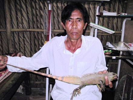 Bắt được con kỳ nhông lạ tại Cà Mau - 1 Bắt được con kỳ nhông lạ tại Cà Mau - 1