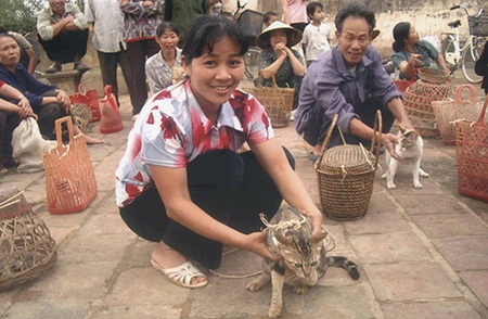 “Truyền kỳ” về một người yêu quý mèo - 3 “Truyền kỳ” về một người yêu quý mèo - 3