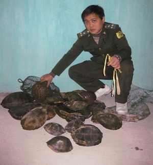 Bắt giữ đối tượng vận chuyển 21,7 kg rùa và hơn 7kg tê tê - 2