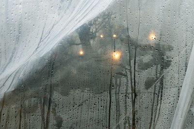 Giăng điện sưởi ấm cho những gốc đào tiền triệu - 9