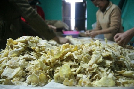 Nỗi buồn làng mứt gừng truyền thống - 6 Nỗi buồn làng mứt gừng truyền thống - 6