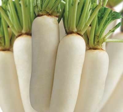 Bài thuốc dân gian trị bệnh khi trời rét - 1 Bài thuốc dân gian trị bệnh khi trời rét - 1