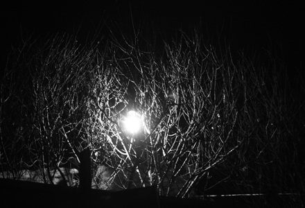 Lạnh lẽo “đào mù” - 3