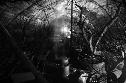 Lạnh lẽo “đào mù” - 6