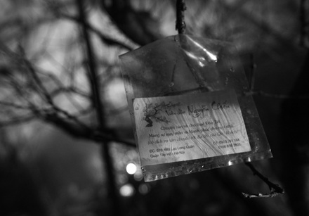 Lạnh lẽo “đào mù” - 7