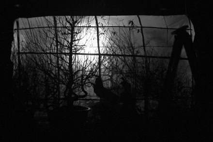 Lạnh lẽo “đào mù” - 2