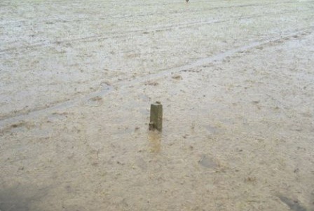 Nông dân “cắn răng” ra đồng cày cấy  - 7