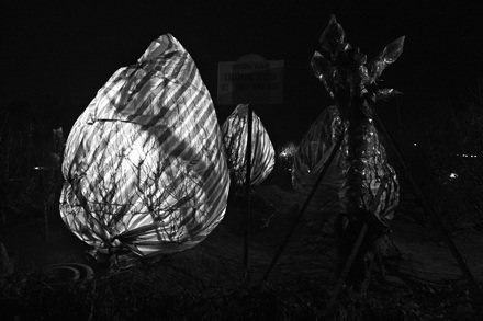 Lạnh lẽo “đào mù” - 1