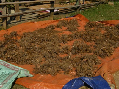 Hương trầm xứ Nghệ  - 4