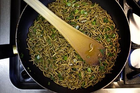 Nhà khoa học Hà Lan khuyến khích thế giới ăn côn trùng - 4 Nhà khoa học Hà Lan khuyến khích thế giới ăn côn trùng - 4