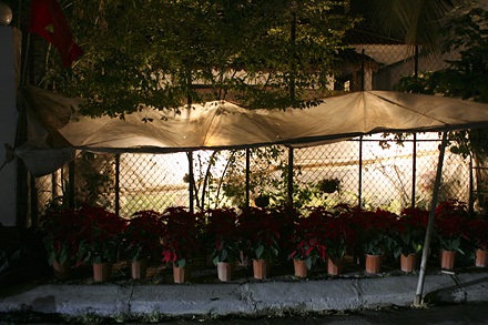 Nhớn nhác lo cứu hoa - 13