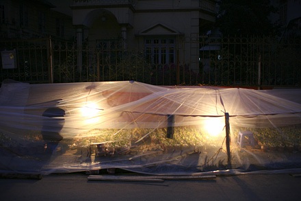 Nhớn nhác lo cứu hoa - 4