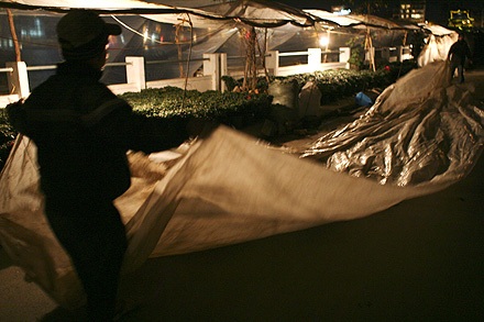 Nhớn nhác lo cứu hoa - 9