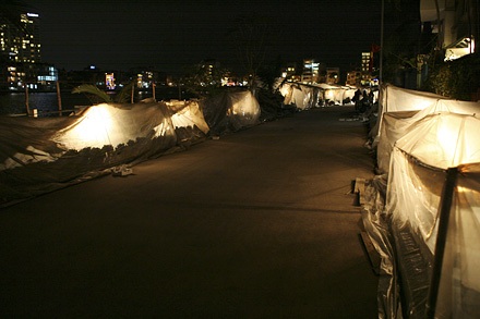 Nhớn nhác lo cứu hoa - 1