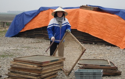 Mùa cá cơm nơi địa đầu xứ Nghệ - 9