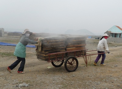 Mùa cá cơm nơi địa đầu xứ Nghệ - 2