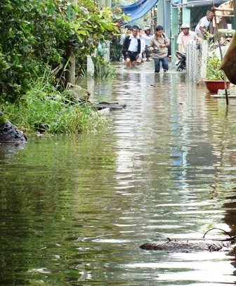 Hơn 50 hộ dân khốn đốn vì vỡ bờ bao - 1