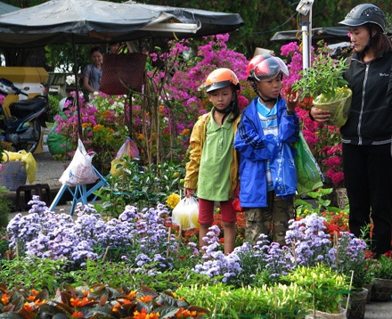 Rực sắc hoa xuân trên bến Ninh Kiều - 1 Rực sắc hoa xuân trên bến Ninh Kiều - 1