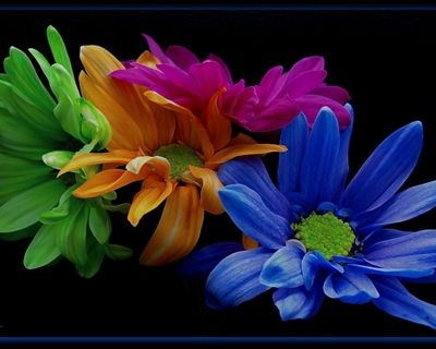 Download bộ hình nền chủ đề “sắc màu” - 8