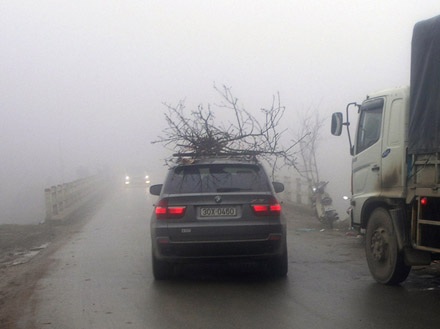 Chợ đào Sa Pa “xuýt xoa” trong sương mù, giá rét - 8 Chợ đào Sa Pa “xuýt xoa” trong sương mù, giá rét - 8