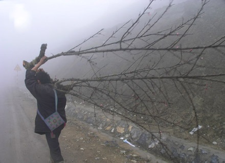Chợ đào Sa Pa “xuýt xoa” trong sương mù, giá rét - 9 Chợ đào Sa Pa “xuýt xoa” trong sương mù, giá rét - 9