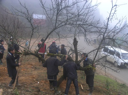 Chợ đào Sa Pa “xuýt xoa” trong sương mù, giá rét - 10 Chợ đào Sa Pa “xuýt xoa” trong sương mù, giá rét - 10