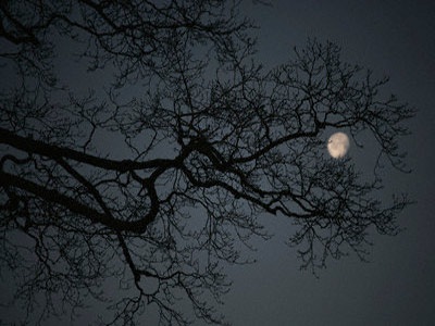 Bữa tiệc tối của Mặt Trời, Mặt Trăng và Gió - 1 Bữa tiệc tối của Mặt Trời, Mặt Trăng và Gió - 1