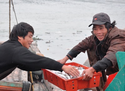 Cá đầy khoang, ngư dân ấm Tết - 1