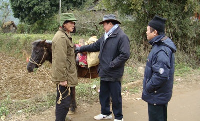 Rét đậm rét hại làm thiệt hại 130 tỉ đồng của ngành chăn nuôi  - 2