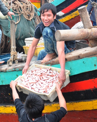 Cá đầy khoang, ngư dân ấm Tết - 2