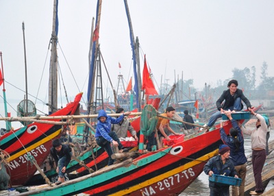 Cá đầy khoang, ngư dân ấm Tết - 5