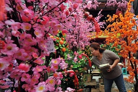 Không khí Tết tưng bừng khắp châu Á - 6