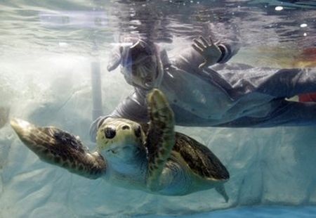 Không khí Tết tưng bừng khắp châu Á - 17