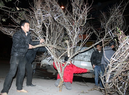 Trắng đêm “đem Tết” về phố - 1