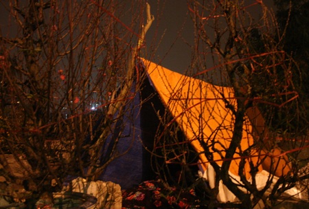 Trắng đêm “đem Tết” về phố - 3